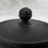 Couvecle de Théière en Fonte non Émaillée