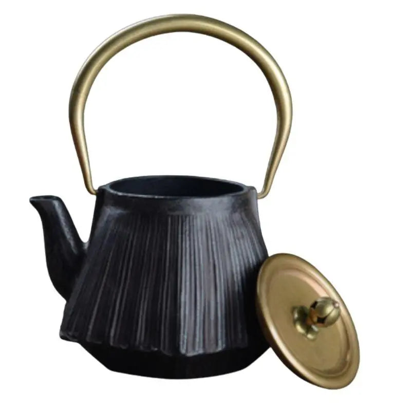 Théières En Fonte Japonaises Les 5 Meilleures Théières Japonaises En Fonte (tetsubin) 14 Théière en fonte japonaise ancienne | Import direct du Japon & Théière