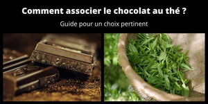 Comment associer le chocolat au thé ? Guide pour un choix pertinent