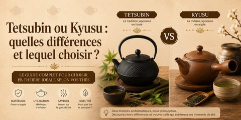 Tetsubin ou kyusu : quelles différences et lequel choisir ?