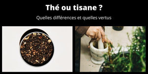 Thé ou tisane ? Quelles différences et quelles vertus