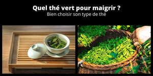 Quel thé vert pour maigrir ? Bien choisir son type de thé