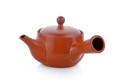 Collection Théières Kyusu - Tokoname
