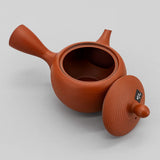 Vue intérieure de la théière Kyusu Tokoname avec filtre céramique Sasame intégré