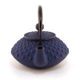 Théière en fonte japonaise japonaise Iwachu kambin bleue 300 ml