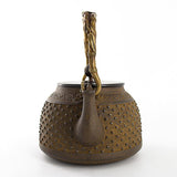 Tetsubin japonaise vue de face