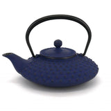 Théière japonaise en fonte Iwachu kambin 0.5 l bleue